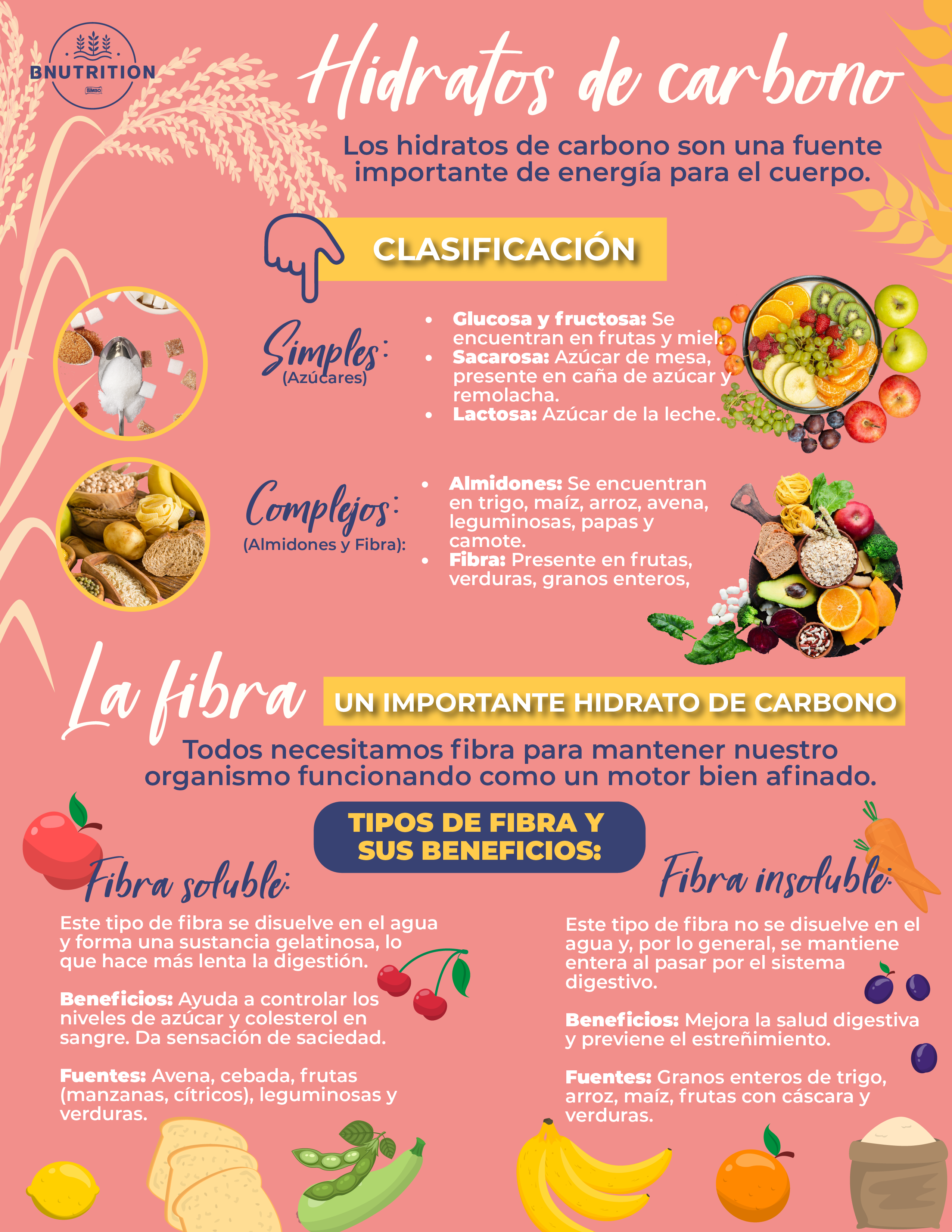 Tipos de carbohidratos