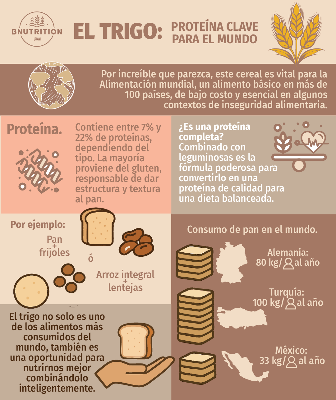El trigo es proteina