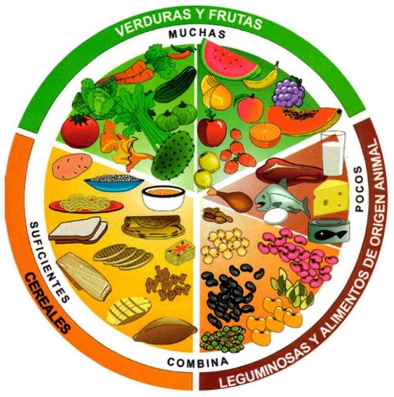 El plato del bien comer