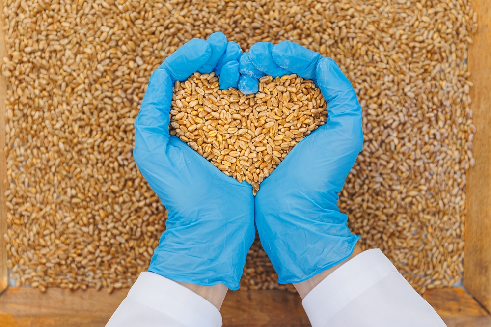 alimentos inocuos