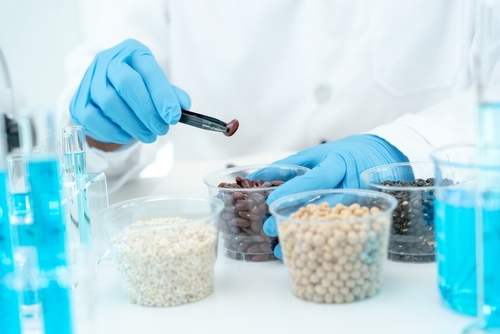 calidad e inocuidad alimentaria