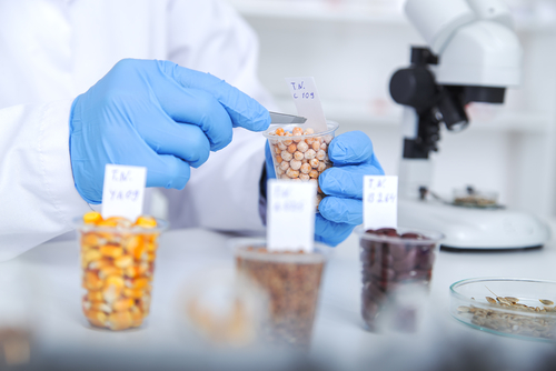 inocuidad en la industria alimentaria