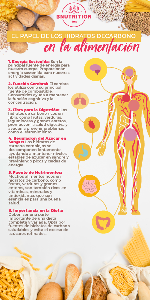 infografia los carbohidratos en la alimentacion