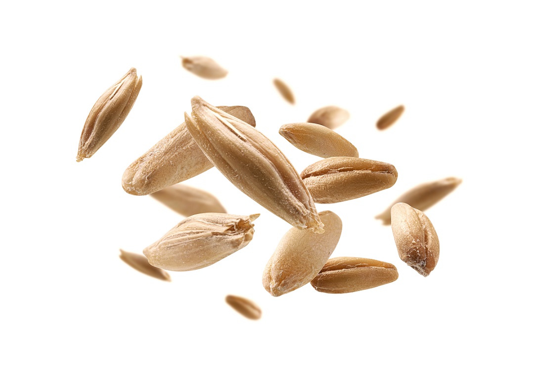 whole grains