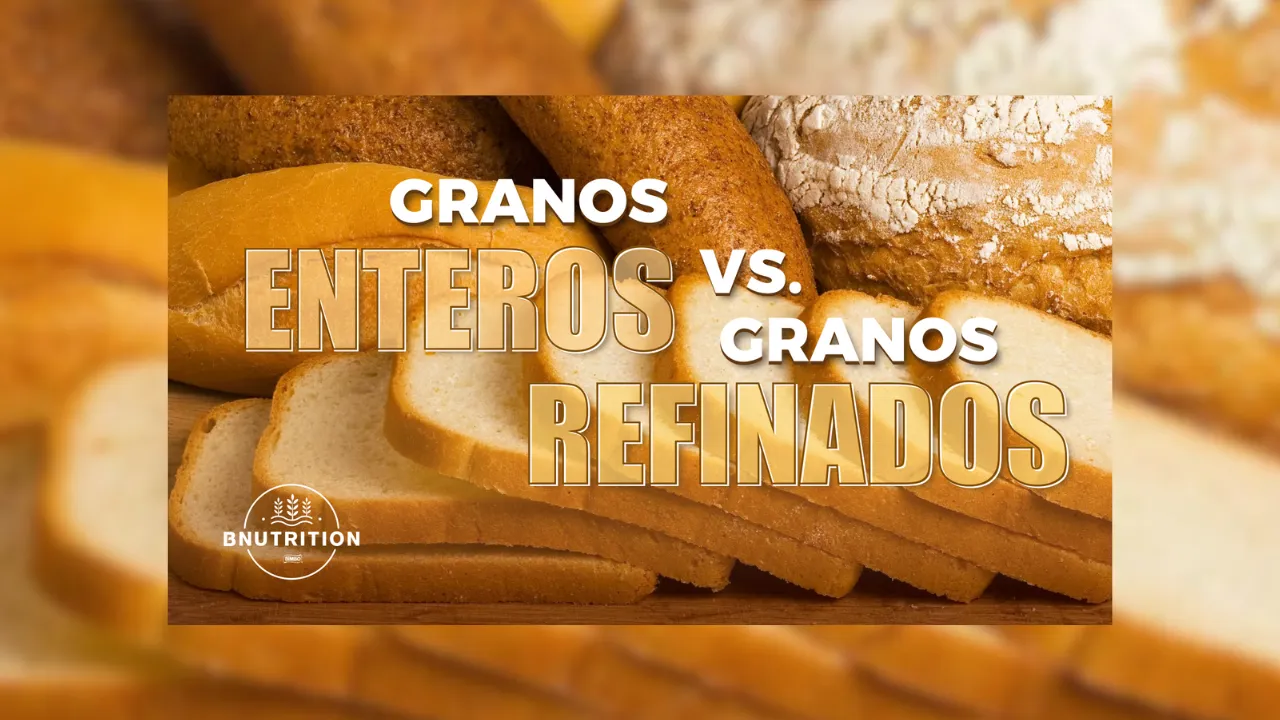 pdf granos enteros vs granos refinados