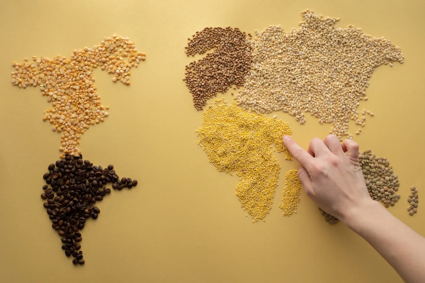 Sustentabilidad y cultura alimentaria
