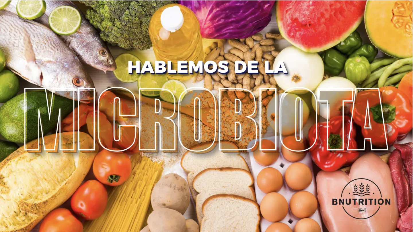 Descargable: Todo lo que debes saber sobre la microbiota