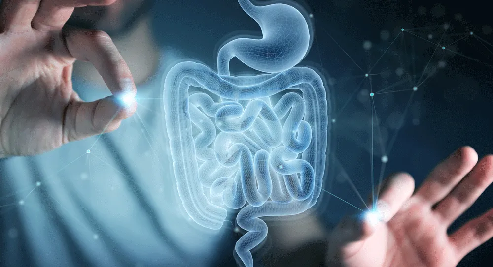 Microbiota: A world to discover 