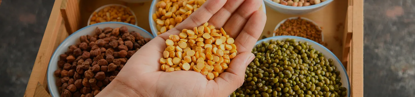 plant-based diet