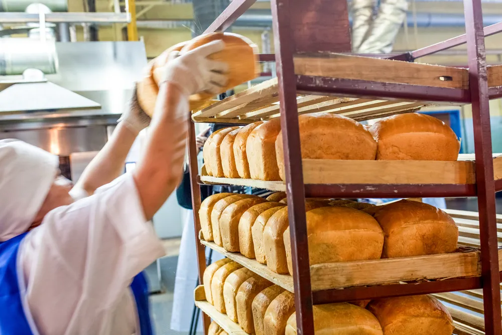 mas-sobre-procesamiento-de-alimentos