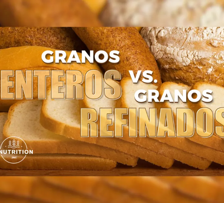 pdf granos enteros vs granos refinados