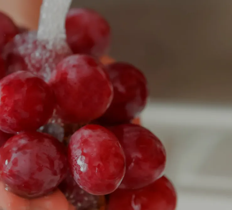 que es la inocuidad alimentaria
