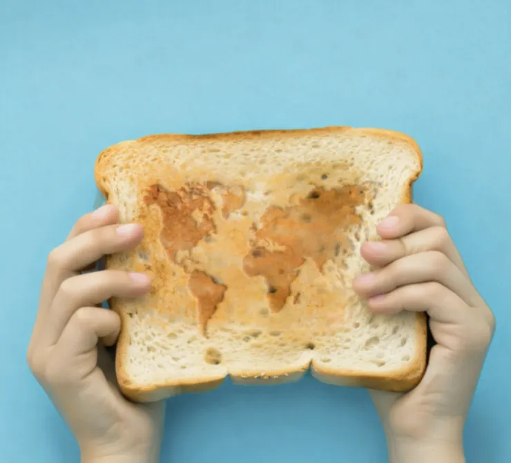 Recetario Panes del Mundo: 11 países 11 recetas con pan