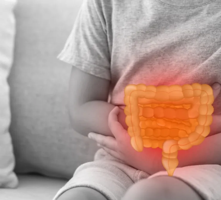 Alimentos contaminados que provocan enfermedades