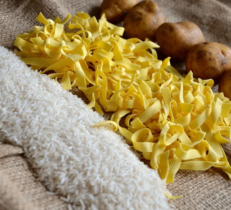 carbohidratos en la alimentación