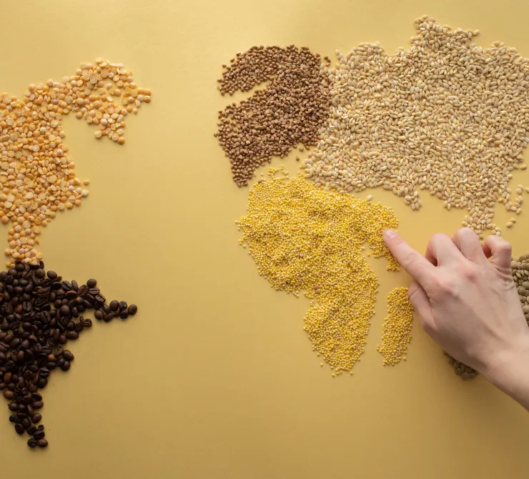 Sustentabilidad y cultura alimentaria
