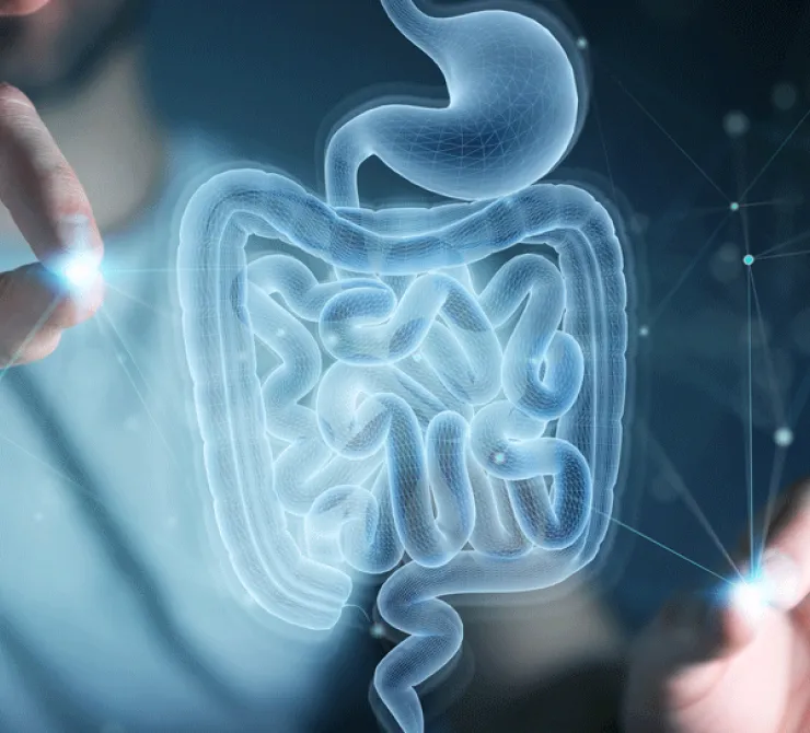 Microbiota: A world to discover 