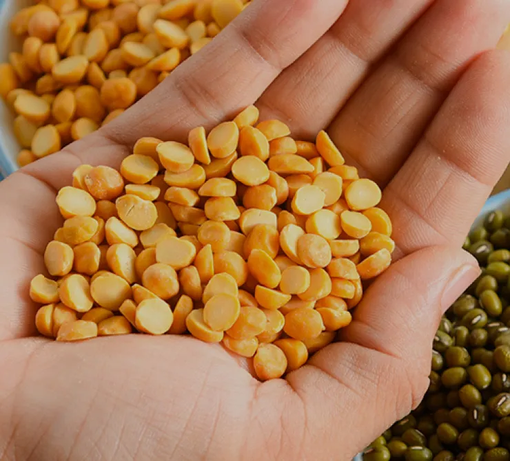 plant-based diet