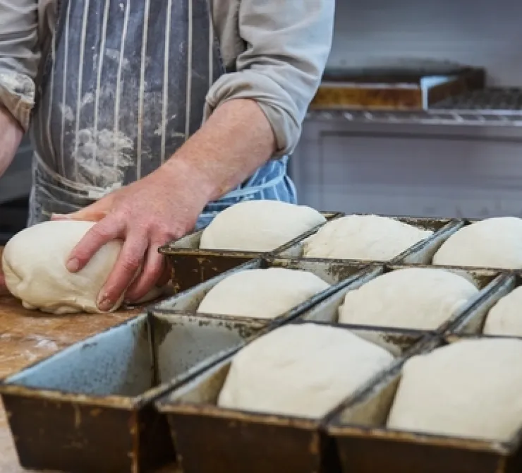 ¿Comer pan es saludable? Esto dice la ciencia