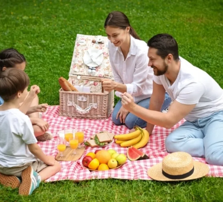 Cómo integrar alimentos procesados a tu alimentación