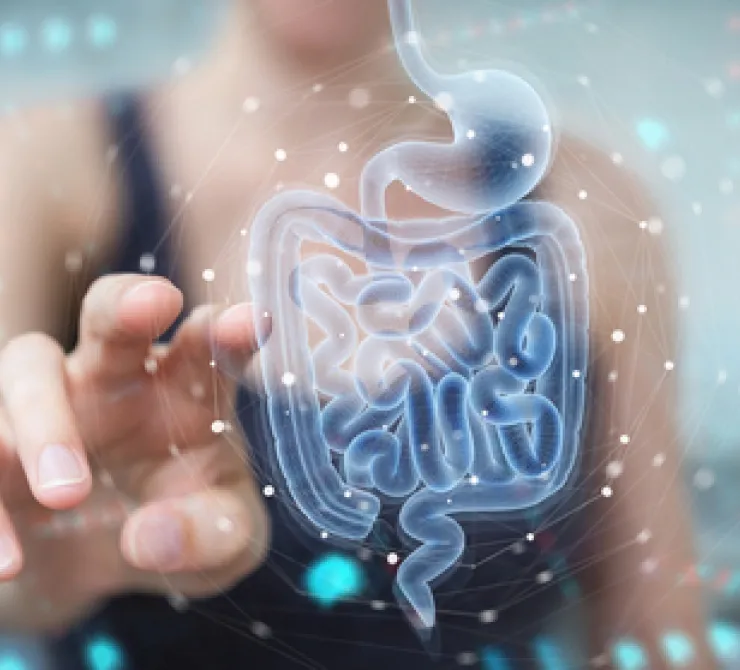 Cómo mantener una microbiota saludable