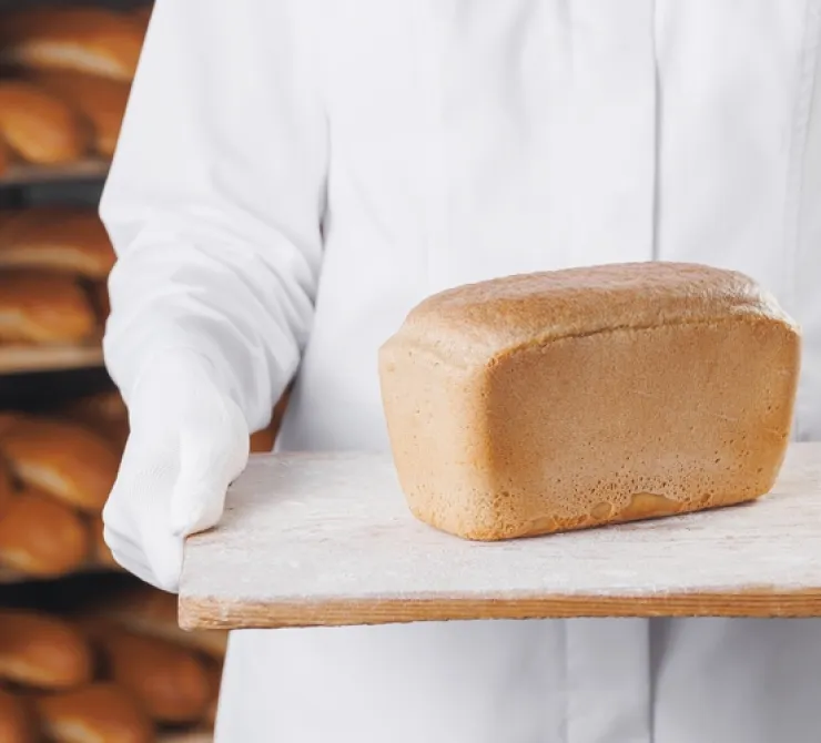 Importancia del procesamiento de alimentos en la seguridad alimentaria