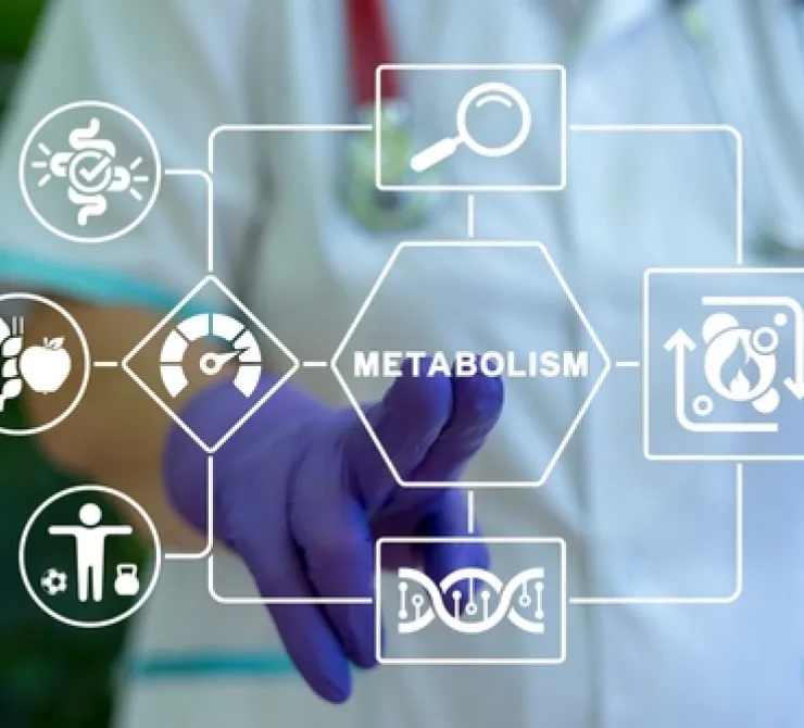 Nutrición y metabolismo