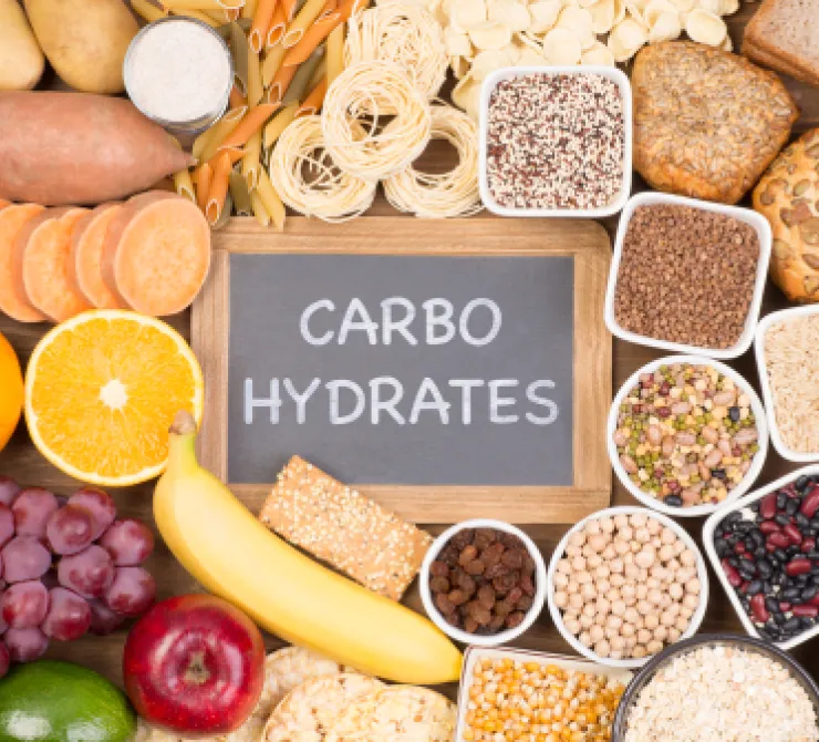 tipos de carbohidratos
