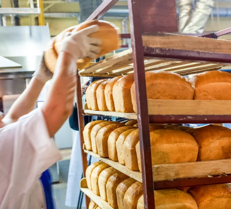 mas-sobre-procesamiento-de-alimentos